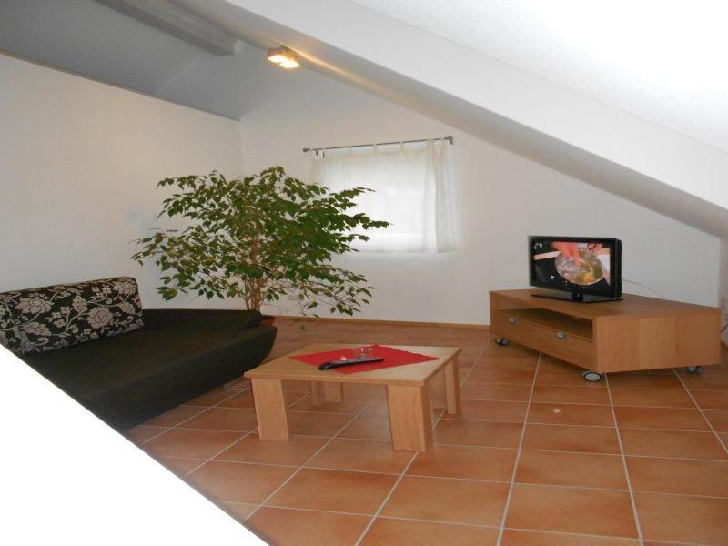 Apartment Schwendemann Lahr  Rum bild
